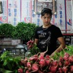 تست محتوای نمونه برای مطالب سایت