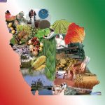 اقتصاد ایران